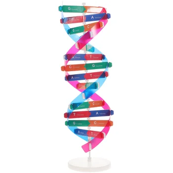 Самосборный Štand za demonstracije Model DNK Dvostruka Spirala Ljudskih Gena Edukativne Igračke Biološki Study guide